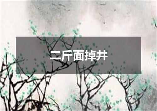 二斤面掉井