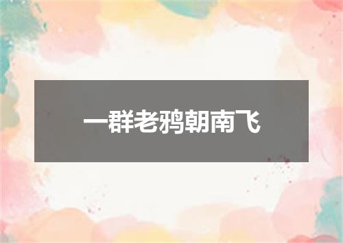 一群老鸦朝南飞