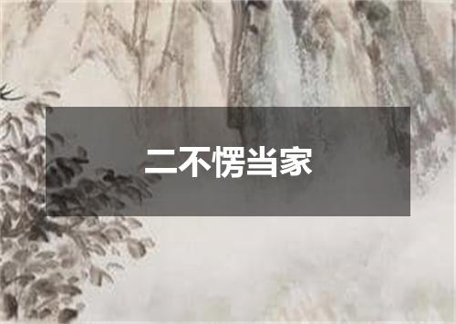 二不愣当家