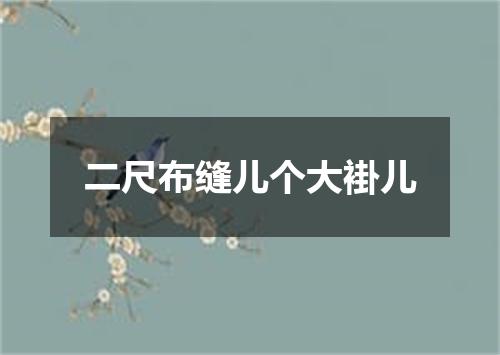 二尺布缝儿个大褂儿