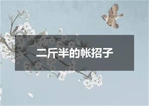 二斤半的帐招子