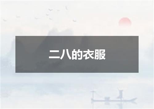 二八的衣服