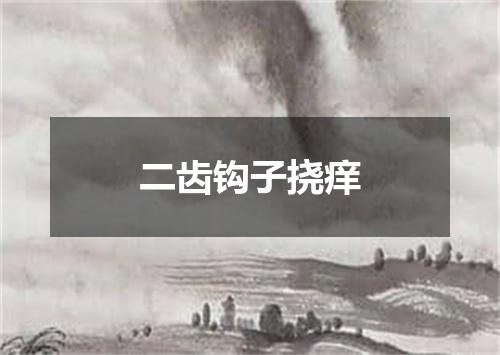二齿钩子挠痒