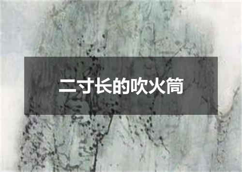 二寸长的吹火筒