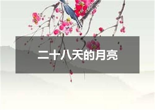 二十八天的月亮