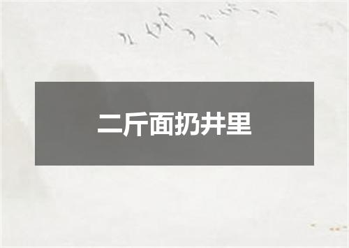 二斤面扔井里