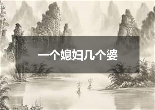 一个媳妇几个婆