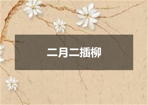 二月二插柳