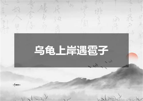 乌龟上岸遇雹子