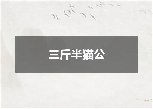 三斤半猫公