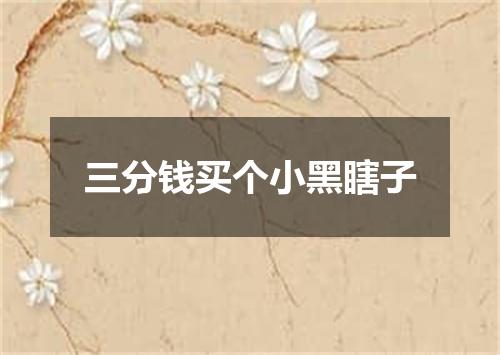 三分钱买个小黑瞎子