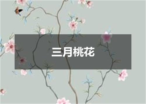 三月桃花