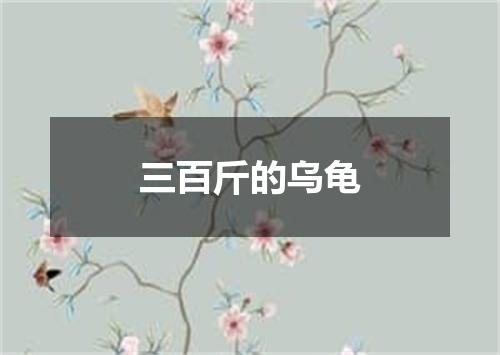 三百斤的乌龟