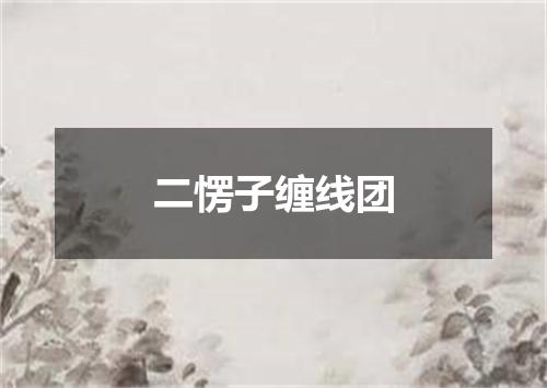 二愣子缠线团