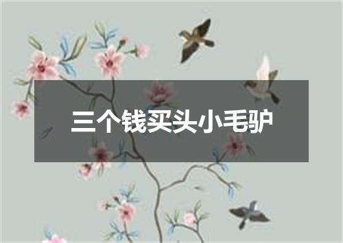 三个钱买头小毛驴