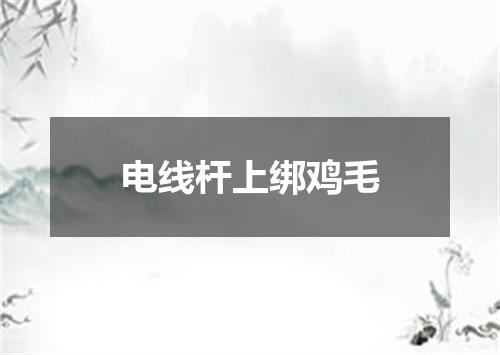 电线杆上绑鸡毛