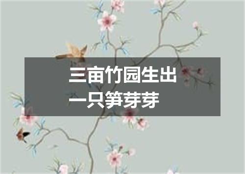 三亩竹园生出一只笋芽芽
