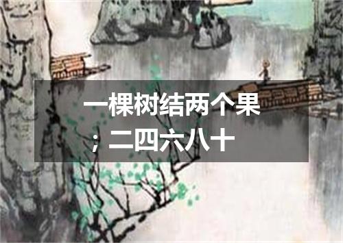 一棵树结两个果；二四六八十