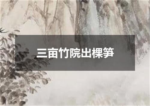 三亩竹院出棵笋