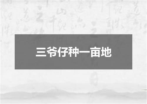 三爷仔种一亩地