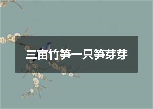 三亩竹笋一只笋芽芽
