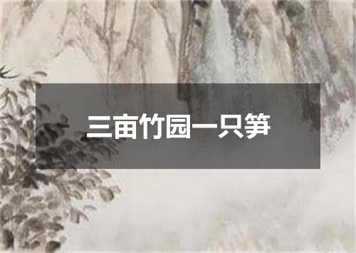 三亩竹园一只笋