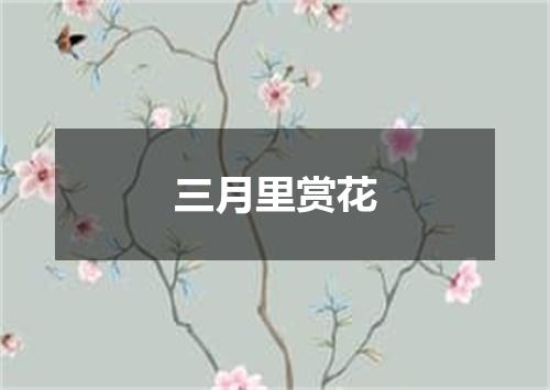 三月里赏花