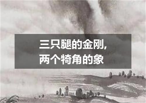 三只腿的金刚,两个犄角的象