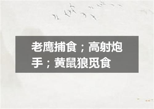 老鹰捕食；高射炮手；黄鼠狼觅食