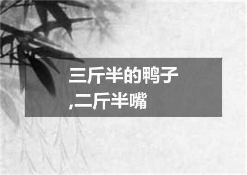 三斤半的鸭子,二斤半嘴
