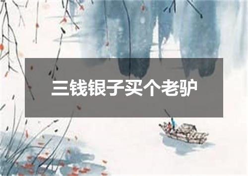 三钱银子买个老驴