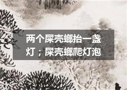 两个屎壳螂抬一盏灯；屎壳螂爬灯泡
