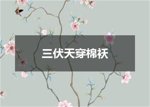 三伏天穿棉袄