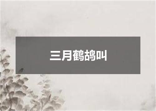 三月鹤鸪叫