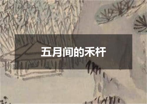 五月间的禾杆