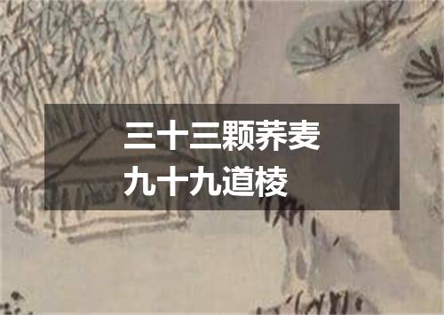 三十三颗荞麦九十九道棱