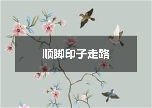 顺脚印子走路