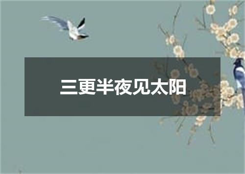 三更半夜见太阳