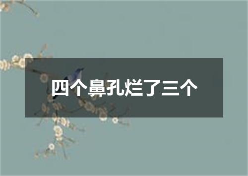 四个鼻孔烂了三个