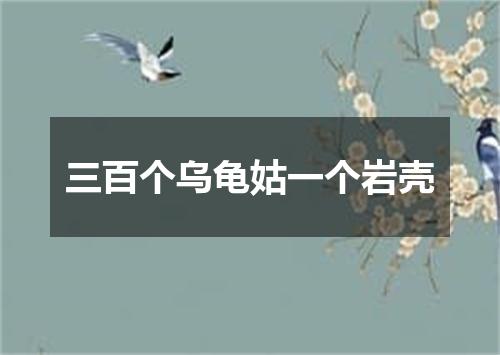 三百个乌龟姑一个岩壳