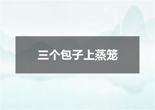 三个包子上蒸笼