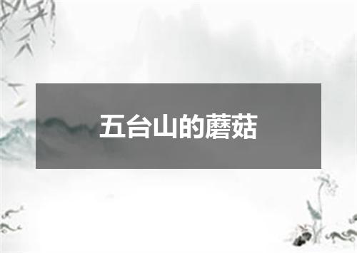 五台山的蘑菇