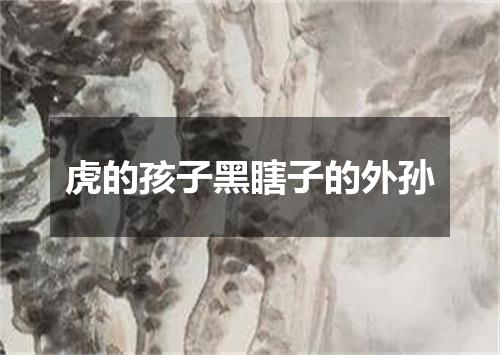 虎的孩子黑瞎子的外孙