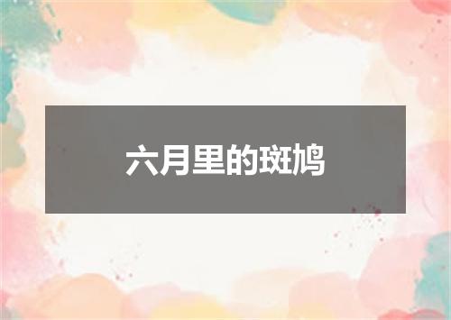 六月里的斑鸠