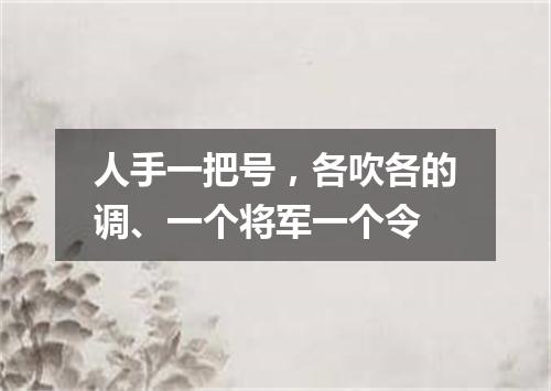 人手一把号，各吹各的调、一个将军一个令
