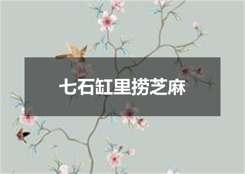 七石缸里捞芝麻