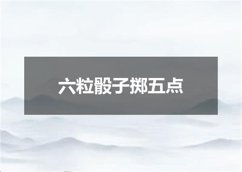 六粒骰子掷五点