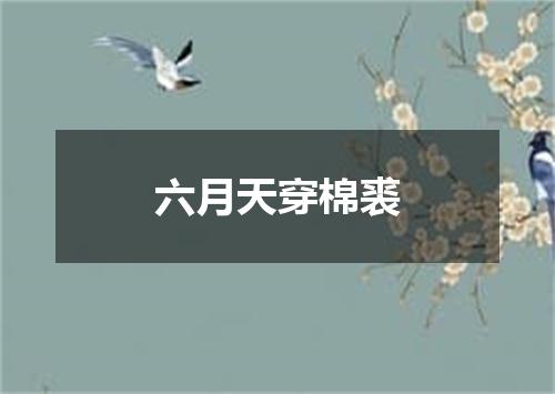 六月天穿棉裘