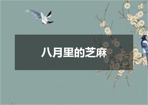 八月里的芝麻