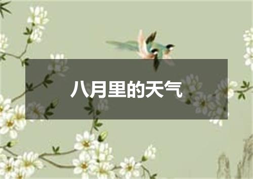 八月里的天气